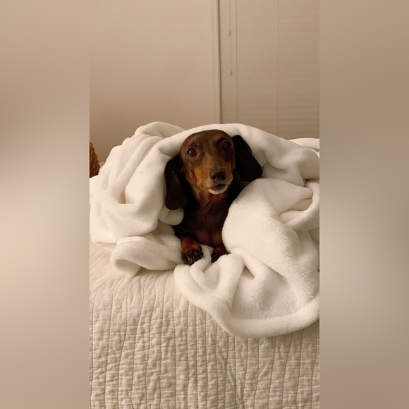 Kimberly is live! Come hang! Yeehaw Yeehaw! 🤠❤️ - Picture 14 of 16